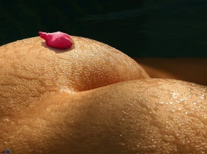 ������ ����� � ��������